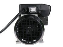 Piusi Panther 56 Diesel Fuel Pump, art: F00730000