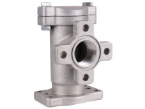 Piusi Line fuel filter, art: F08950000.