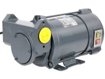 Gespasa Iron-50 Ex 24 Gasoline Pump