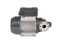 Piusi E 120 T Fuel Pump