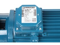 Diesel Fuel Pump Gespasa CG-1000