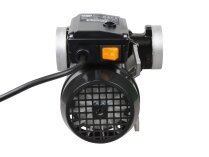 Piusi Panther 90 Diesel Fuel Pump