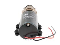 Piusi Garda 1 24V Diesel Fuel Pump