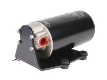 Piusi Garda 2 24V Diesel Fuel Pump