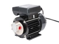 Piusi Garda 5 Diesel Fuel Pump