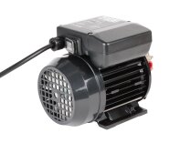 Piusi Garda 5 Diesel Fuel Pump