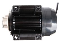 Piusi Garda 5 Diesel Fuel Pump