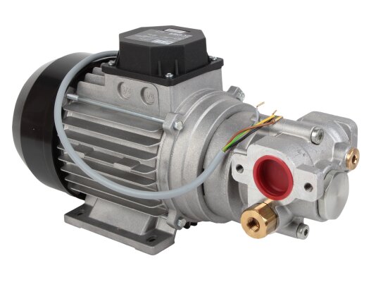 Electric oil pump Piusi Viscomat 200/2 T, art: F0030405D