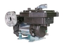 Piusi EX75 12V DC ATEX gasoline pump
