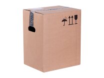 Dungs DMV-D 5080/11 eco Double Electromagnetic Valve, 230 V, NBR