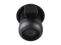 Weishaupt W-D112/140-2/3K0 electric motor