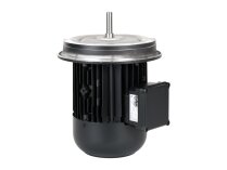 Weishaupt W-D112/140-2/3K0 electric motor