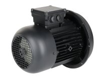Weishaupt W-D112/140-2/3K0 electric motor
