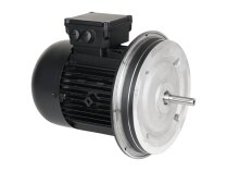 Weishaupt W-D112/140-2/3K0 electric motor