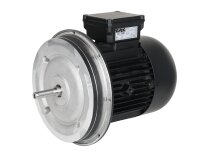 Weishaupt W-D112/140-2/3K0 electric motor
