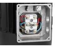 Weishaupt W-D112/140-2/3K0 electric motor