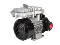 Piusi EX100 220/50 Fuel Pump
