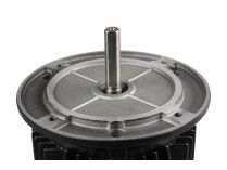 Simel 31/3011 Electric Motor