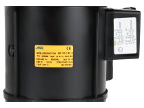 ACC 450W Electric Motor 13011930