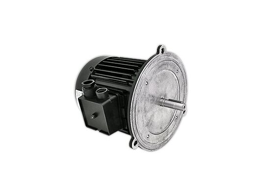 HANNING 550W Electric Motor, art. 13013124