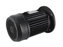 Soga MT190LB/2 electric motor