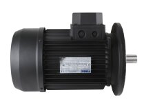 Soga MT190LB/2 electric motor