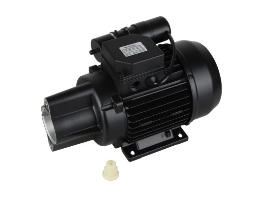 Riello RL46/550 Motor, 550W, art: 3013829.