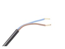 Weishaupt RAR9 flame sensor, 1000 mm