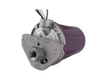 Honeywell C7012E1104 Flame Sensor