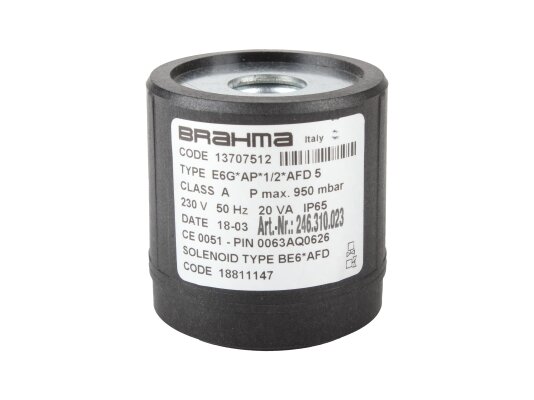 Electromagnetic coil Brahma BE6*AFD 18811147