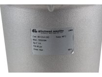 Fuel filter Giuliani Anello 70502006
