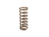 Siemens AGA22 spring, article number: 3142204