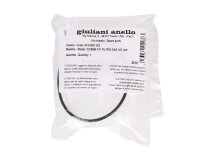 Giuliani Anello 3216/6B Filter Element with Lid Gasket