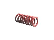 Siemens AGA23 Spring