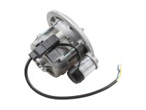 Hanning OE6W2B4-379 Electric Motor