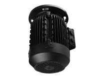 AEG AMEE 90L CA2 IE2 B5 electric motor