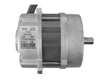 Riello 603SE 0120 Motor