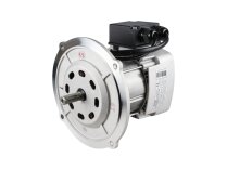 Riello RH Y 110 motor, 420W, art: 3013425.
