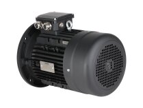 Hoyer 7.28/8.73 kW electric motor