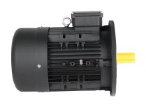 Hoyer 7.28/8.73 kW electric motor