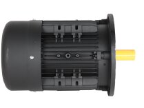 Hoyer 7.28/8.73 kW electric motor