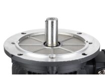 Hoyer 7.28/8.73 kW electric motor