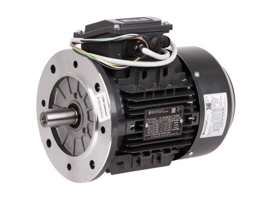CIB Unigas electric motor, 218100701