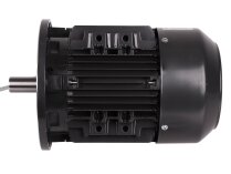 CIB Unigas electric motor, 218100701