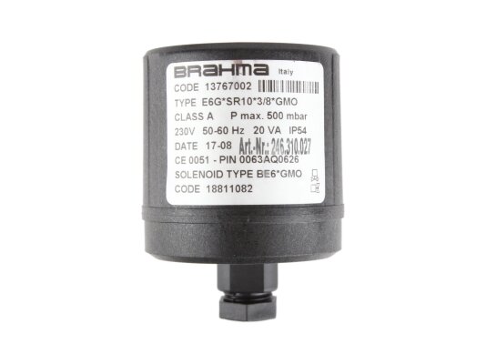 Electromagnetic coil Brahma BE6*GMO 18811082