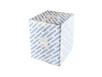 Giuliani Anello 4100003 Fuel Filter