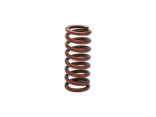Siemens AGA21 Spring, art: S55851-Z301-A100