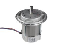 Riello 475SE 5500 electric motor