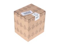Riello 475SE 5500 electric motor