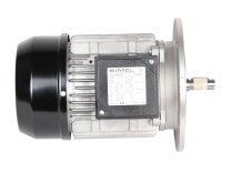 Riello 1-10A/6 IE3 3014206R electric motor